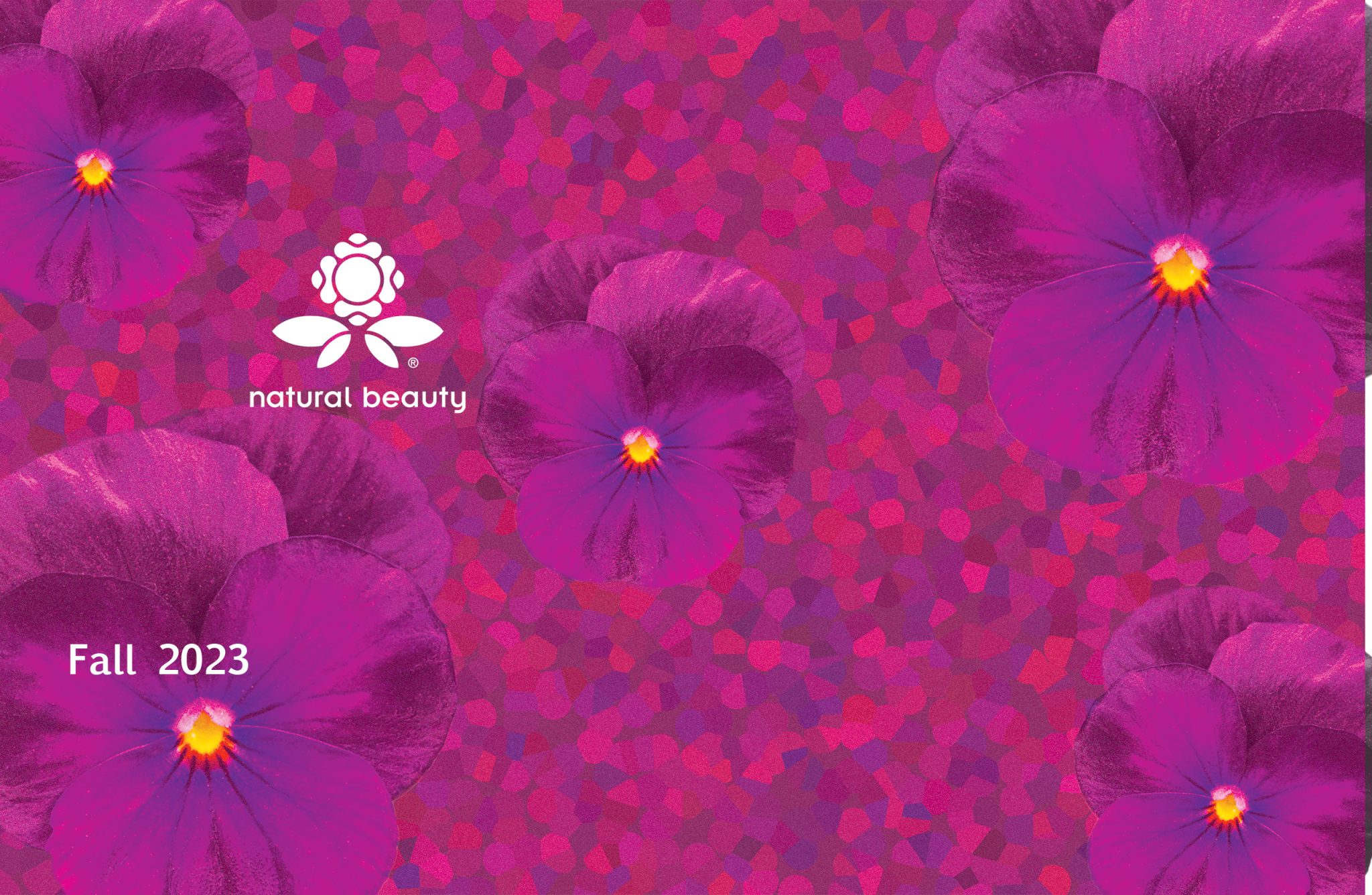 NB catalog fall cover image 2023 Natural Beauty